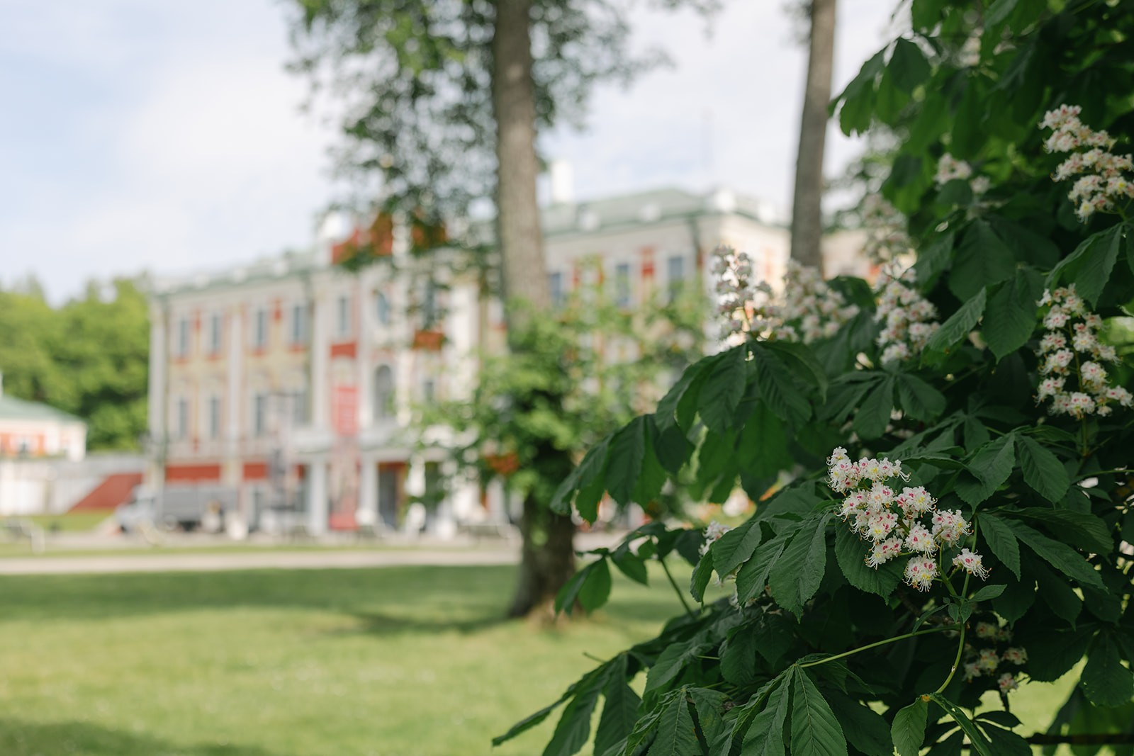 MTÜ Elu Dementsusega tähistas juubelit